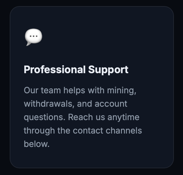 Professional Support